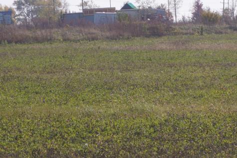 Lot5 South Route 52 Road Manhattan IL 60442
