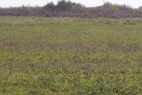 Lot5 South Route 52 Road Manhattan IL 60442