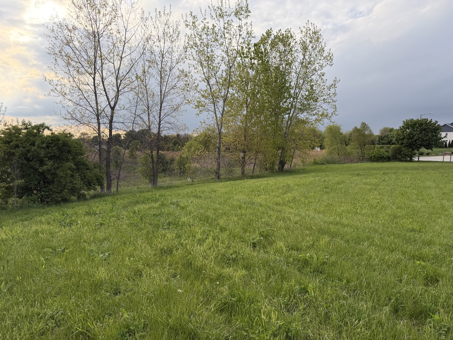 18555 South Marilynn Court Mokena IL 60448