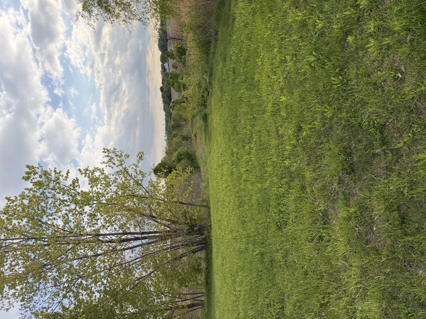 18555 South Marilynn Court Mokena IL 60448