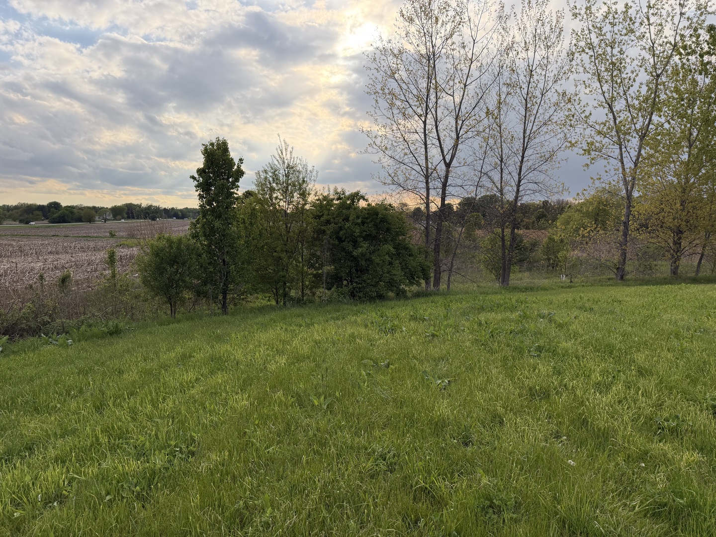 18555 South Marilynn Court Mokena IL 60448