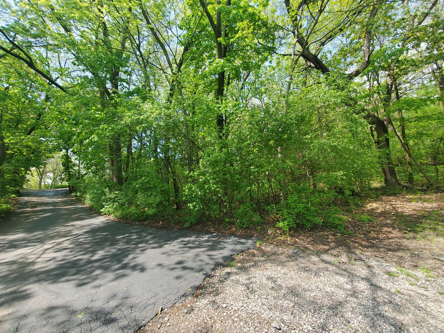 27726 West Hill Drive Spring Grove IL 60081