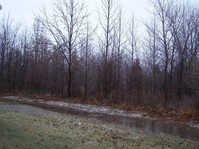 0000 Adams Drive Marion IL 62959
