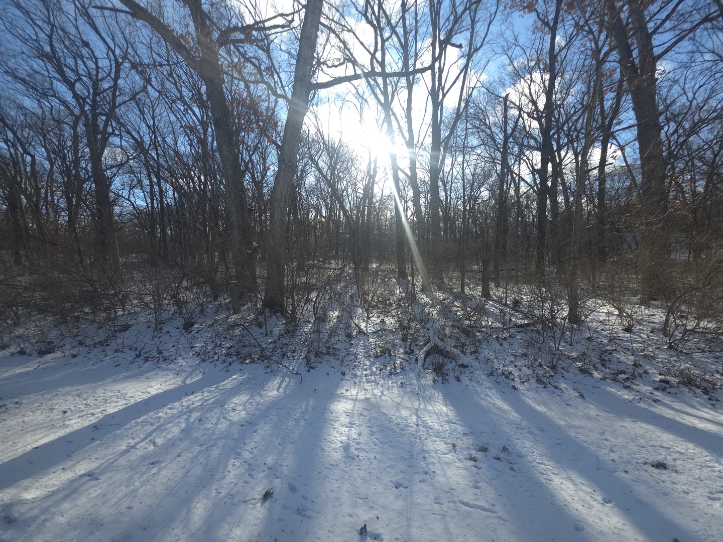 916 Missouri Drive Dixon IL 61021
