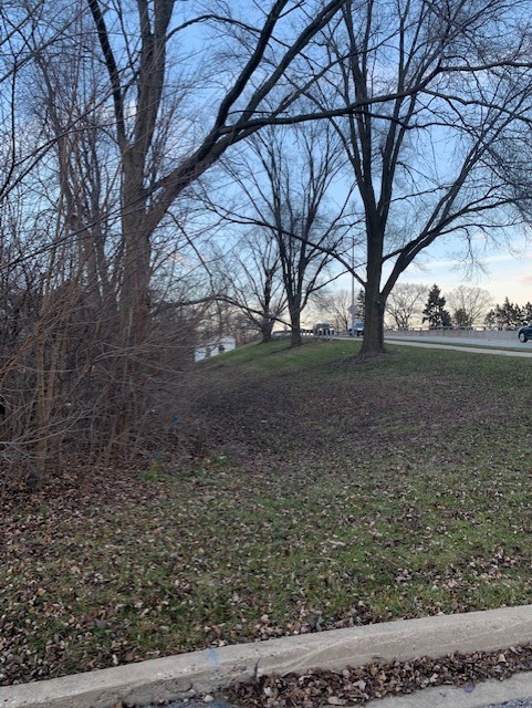636 East 4th Avenue Naperville IL 60540