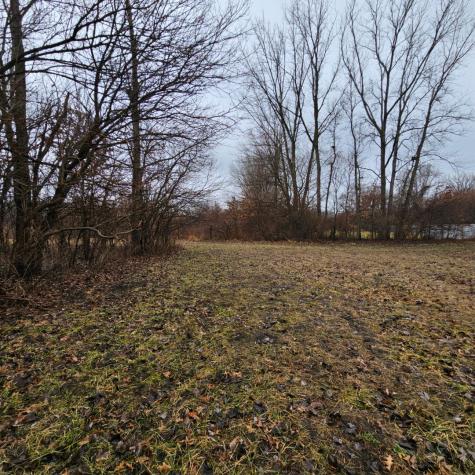 Lot 18 East 2430s Road Pembroke Twp IL 60958