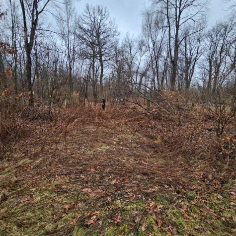 Lot 18 East 2430s Road Pembroke Twp IL 60958
