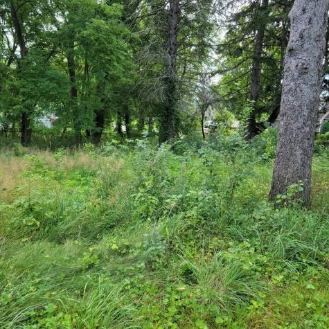 25570 West High Street Wauconda IL 60084