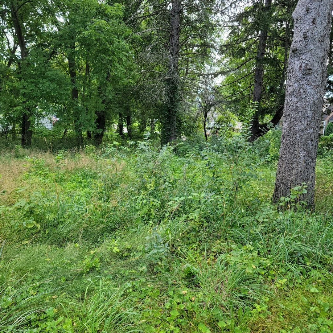 25570 West High Street Wauconda IL 60084