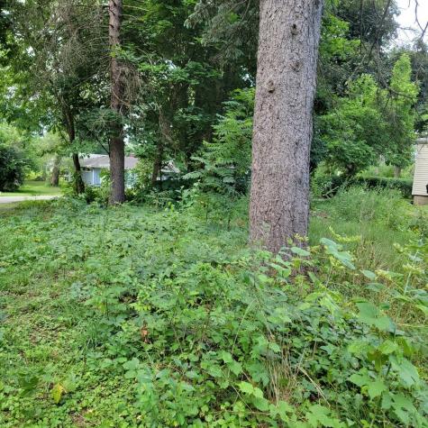 25570 West High Street Wauconda IL 60084