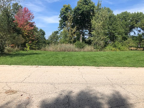 244 Red Oak Court Island Lake IL 60042