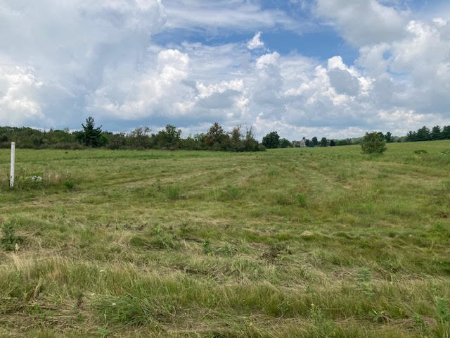 Lot #33 West Longwood Drive Woodstock IL 60098