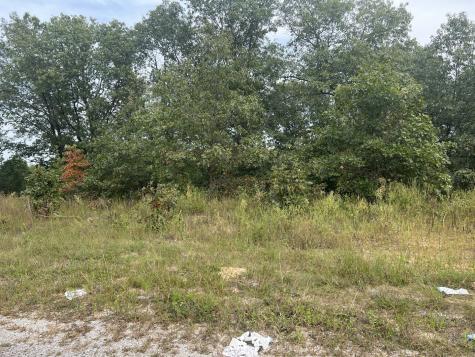 0001 Green Acres Street Pembroke Twp IL 60958