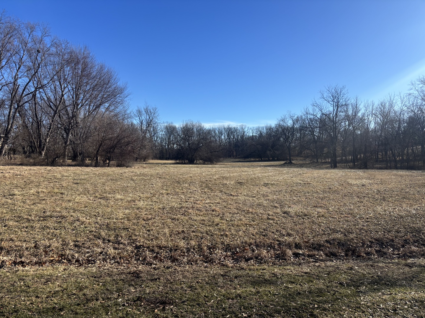 Lot 1473/1474 Chevy Chase Drive Varna IL 61375