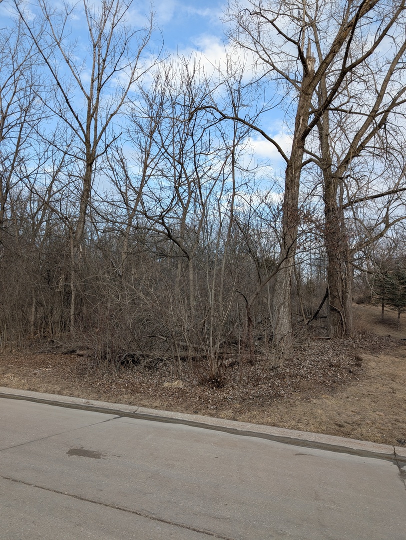 1433 West 98th Avenue Court Rock Island IL 61201