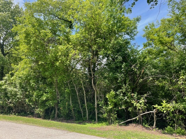Lot 0 Pine Street S Mchenry IL 60051