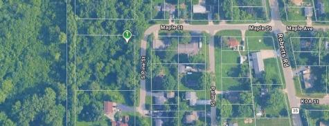 Lot 0 Pine Street S Mchenry IL 60051