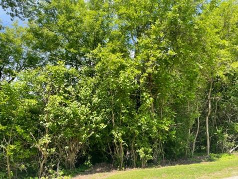 Lot 0 Pine Street S Mchenry IL 60051