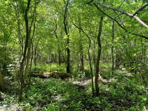 Lot 0 Pine Street S Mchenry IL 60051