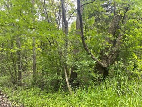 Lot 0 Pine Street S Mchenry IL 60051