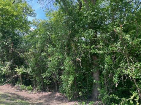 Lot 0 Pine Street S Mchenry IL 60051
