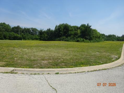 2904 Delphi Court Olympia Fields IL 60461