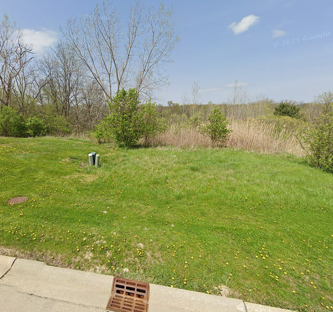 1245 Georgias Way New Lenox IL 60451