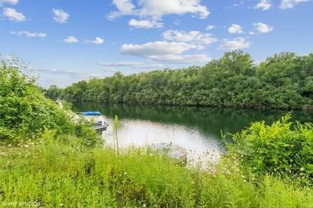 560 North Washington Street Braidwood IL 60408