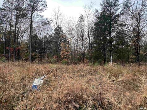 Lot 157 Parrish Ridge Lane Goreville IL 62939