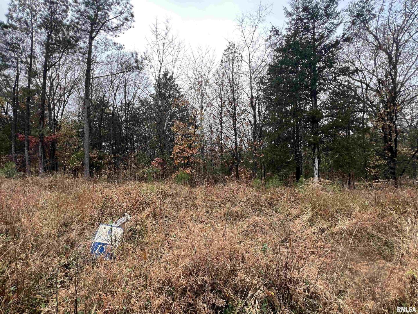 Lot 157 Parrish Ridge Lane Goreville IL 62939