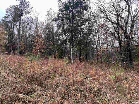 Lot 157 Parrish Ridge Lane Goreville IL 62939
