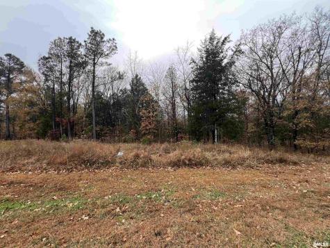 Lot 157 Parrish Ridge Lane Goreville IL 62939