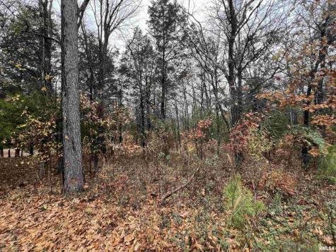 Lot 157 Parrish Ridge Lane Goreville IL 62939