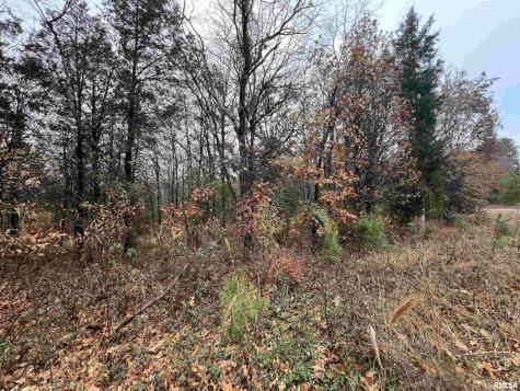 Lot 157 Parrish Ridge Lane Goreville IL 62939