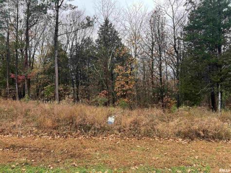 Lot 157 Parrish Ridge Lane Goreville IL 62939