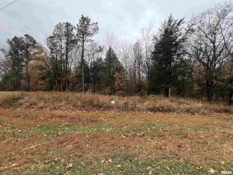 Lot 157 Parrish Ridge Lane Goreville IL 62939