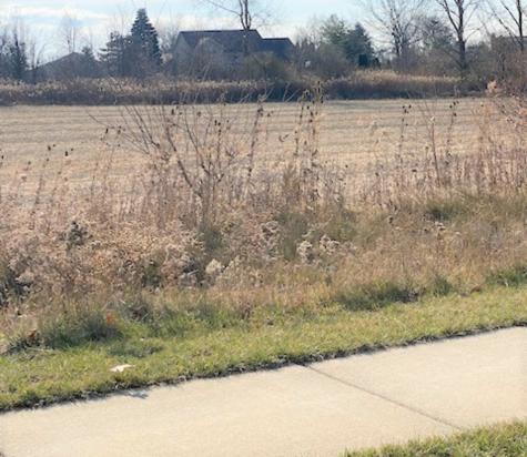 15355 West 159th Street Lockport IL 60441
