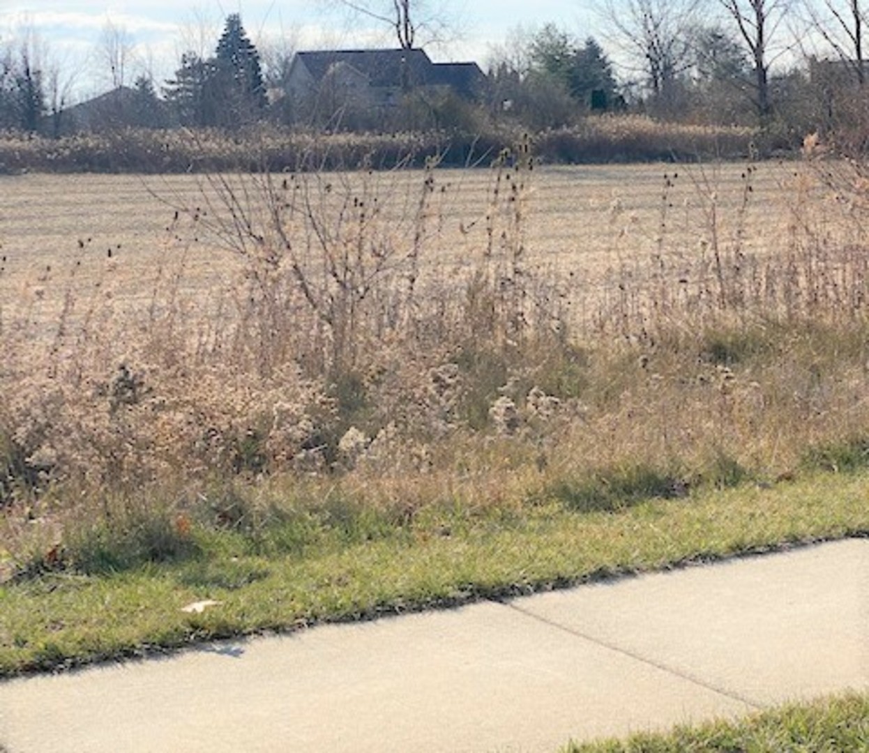 15355 West 159th Street Lockport IL 60441