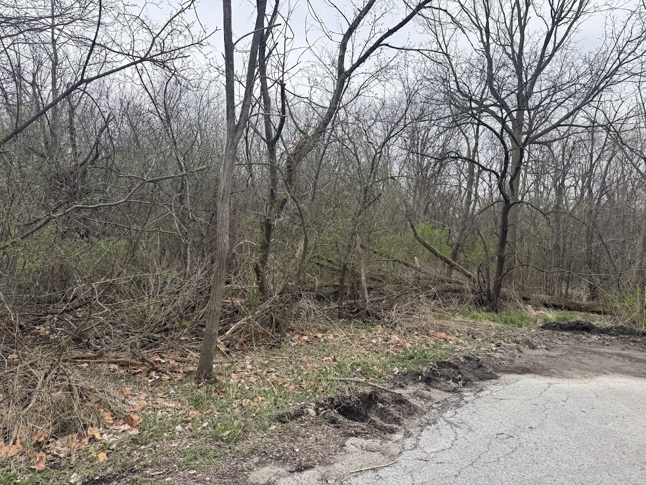 22828 Frederick Road Steger IL 60475
