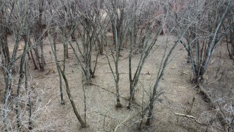 Lot 2 Palm Street Mchenry IL 60051