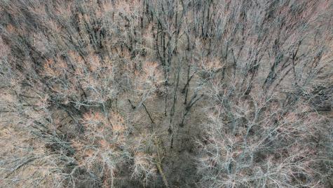 Lot 2 Palm Street Mchenry IL 60051