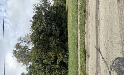 705 Newport Avenue Rockford IL 61102
