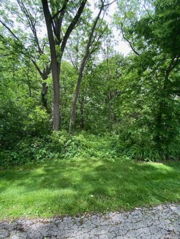 Lot 58 & 59 Beverly Way Spring Grove IL 60081