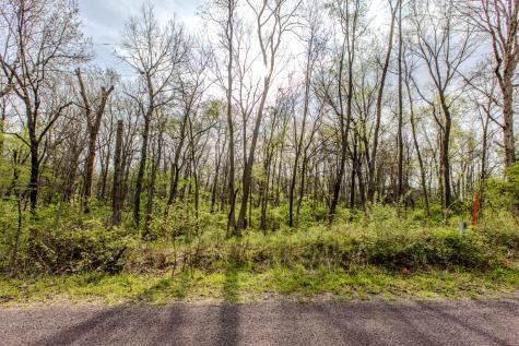 56,57 Summit Drive Mackinaw IL 61755