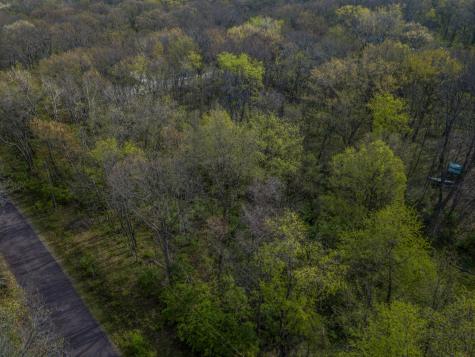 56,57 Summit Drive Mackinaw IL 61755