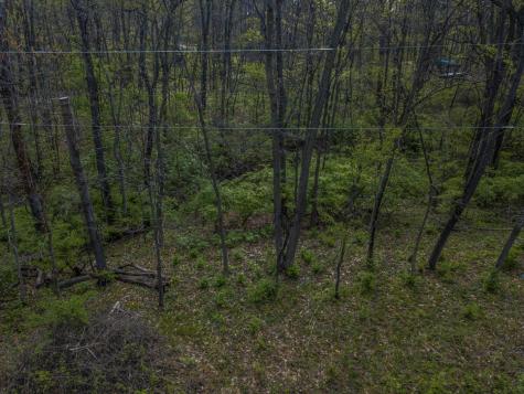 56,57 Summit Drive Mackinaw IL 61755