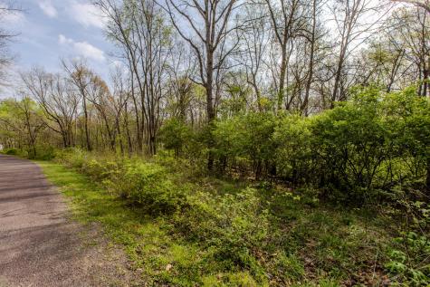 56,57 Summit Drive Mackinaw IL 61755