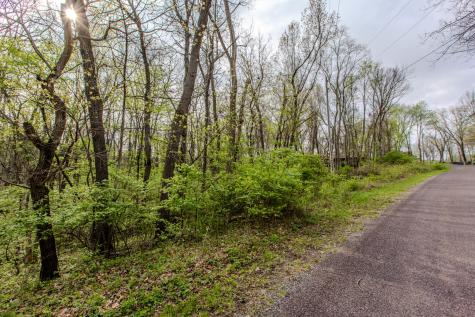 56,57 Summit Drive Mackinaw IL 61755