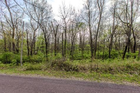 56,57 Summit Drive Mackinaw IL 61755