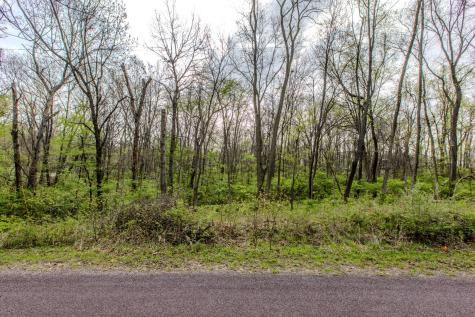 56,57 Summit Drive Mackinaw IL 61755